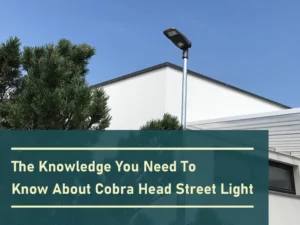 cobra head street light