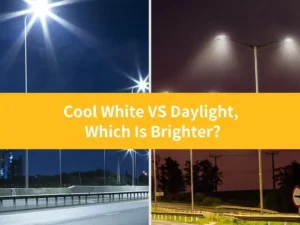cool white vs daylight