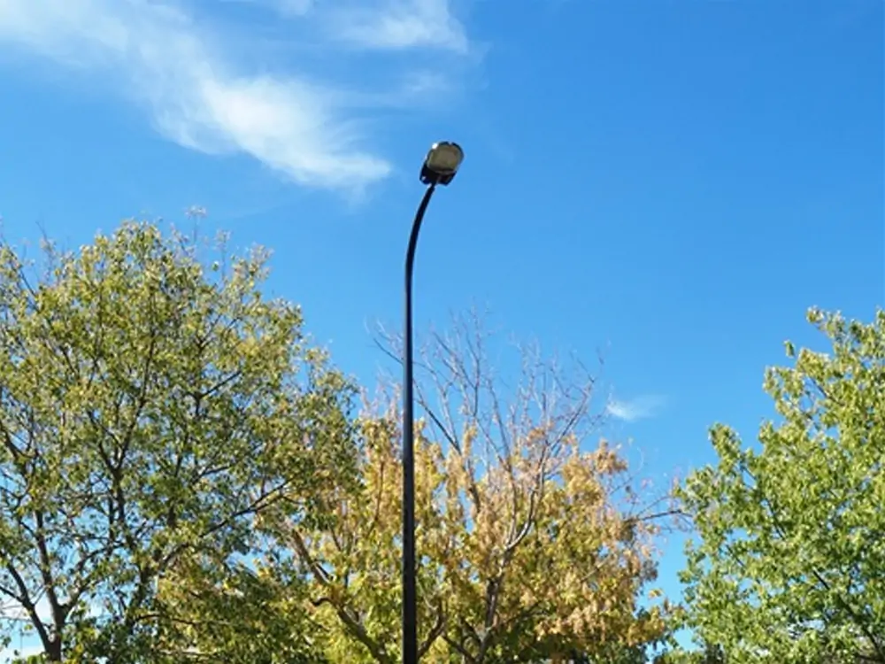 landscaping around light pole