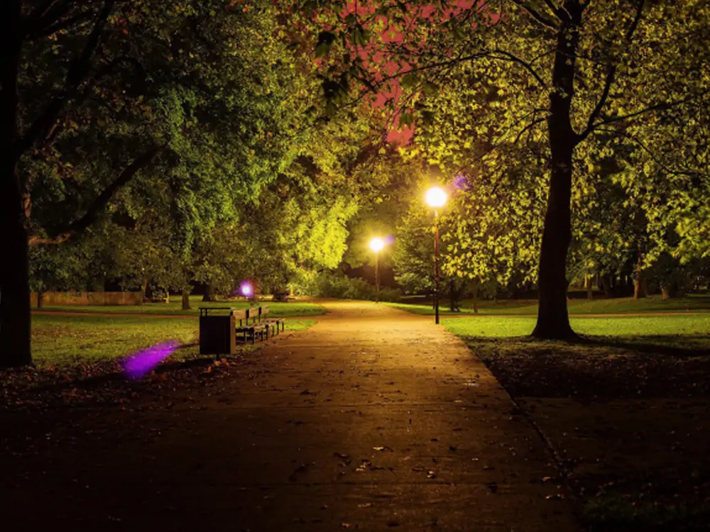 plantas alrededor del poste de luz