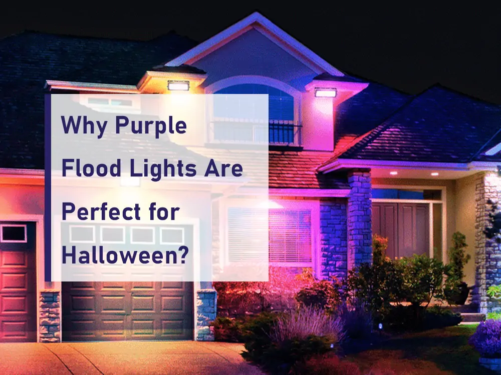 why purple flood lights are perfect for halloween