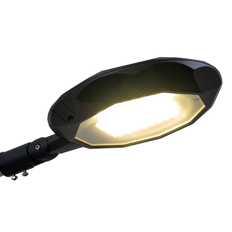 Mantis-hp-l-2