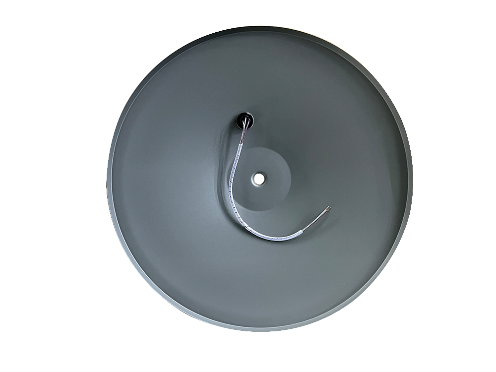 Friso-II-4